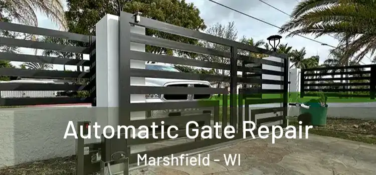  Automatic Gate Repair Marshfield - WI