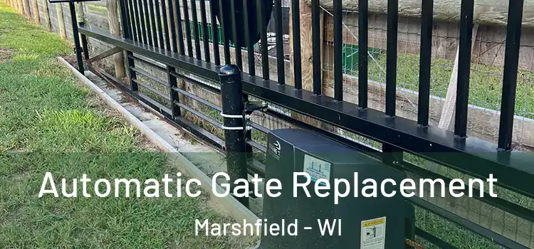  Automatic Gate Replacement Marshfield - WI