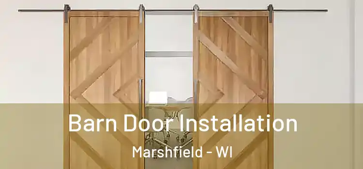  Barn Door Installation Marshfield - WI