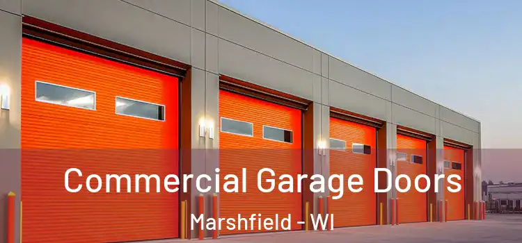  Commercial Garage Doors Marshfield - WI