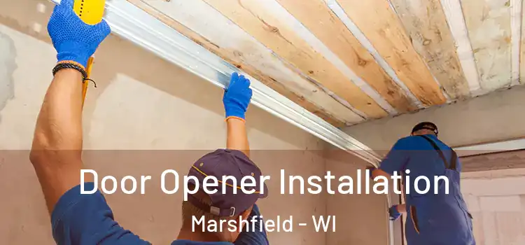  Door Opener Installation Marshfield - WI