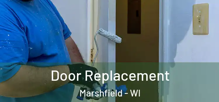  Door Replacement Marshfield - WI
