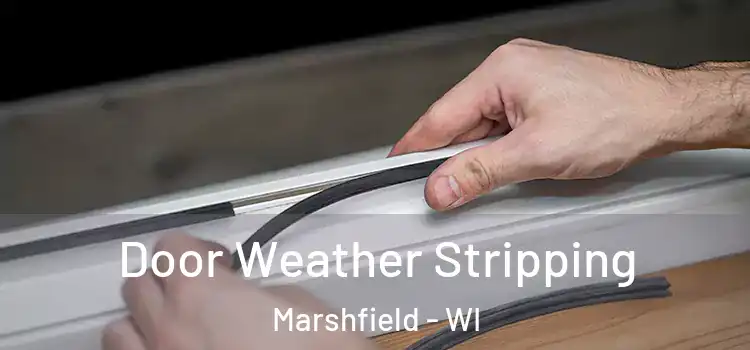 Door Weather Stripping Marshfield - WI