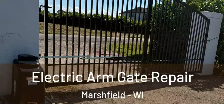 Electric Arm Gate Repair Marshfield - WI