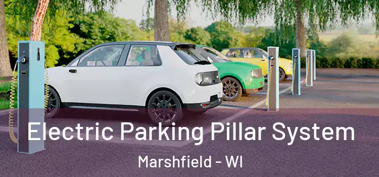  Electric Parking Pillar System Marshfield - WI