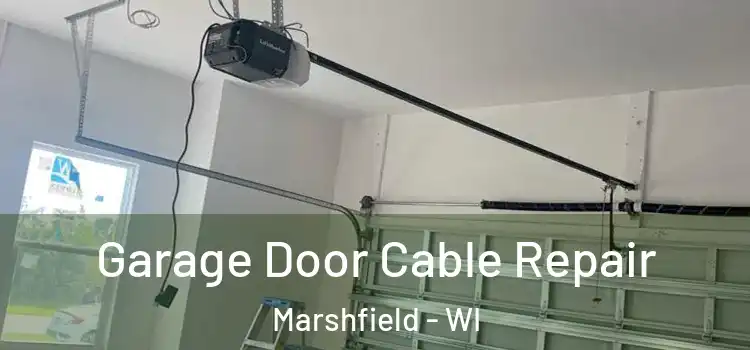  Garage Door Cable Repair Marshfield - WI