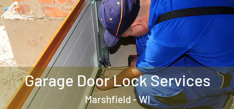  Garage Door Lock Services Marshfield - WI