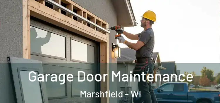  Garage Door Maintenance Marshfield - WI