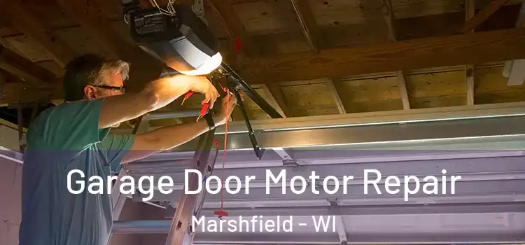  Garage Door Motor Repair Marshfield - WI