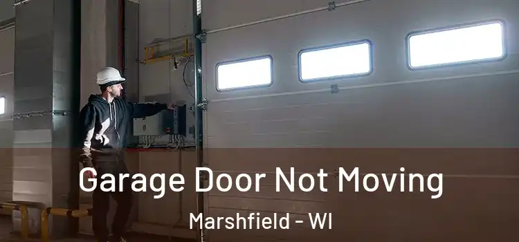  Garage Door Not Moving Marshfield - WI