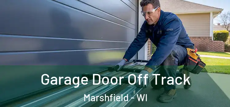  Garage Door Off Track Marshfield - WI