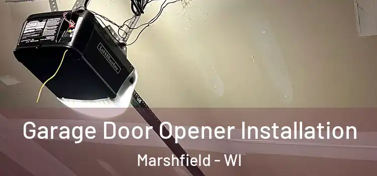  Garage Door Opener Installation Marshfield - WI