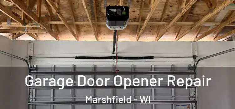  Garage Door Opener Repair Marshfield - WI