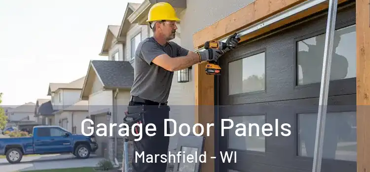  Garage Door Panels Marshfield - WI