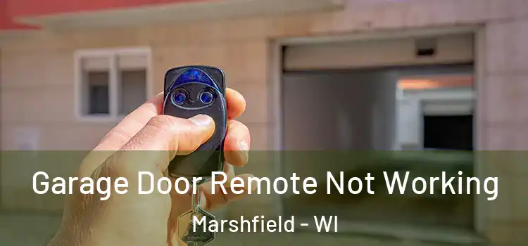  Garage Door Remote Not Working Marshfield - WI