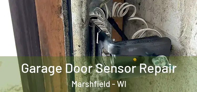 Garage Door Sensor Repair Marshfield - WI