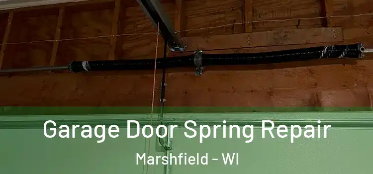  Garage Door Spring Repair Marshfield - WI