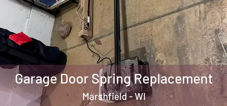  Garage Door Spring Replacement Marshfield - WI