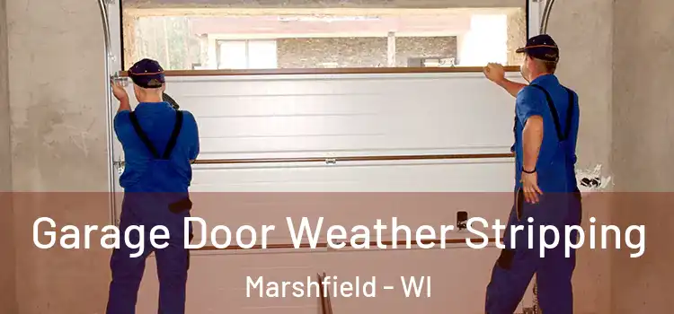  Garage Door Weather Stripping Marshfield - WI