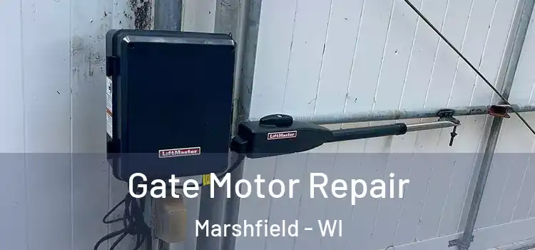 Gate Motor Repair Marshfield - WI