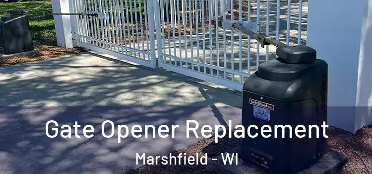  Gate Opener Replacement Marshfield - WI