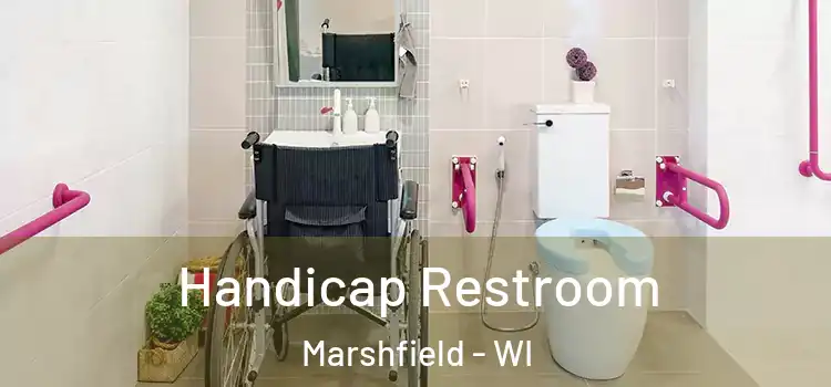  Handicap Restroom Marshfield - WI