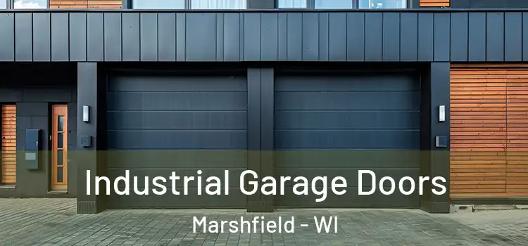  Industrial Garage Doors Marshfield - WI