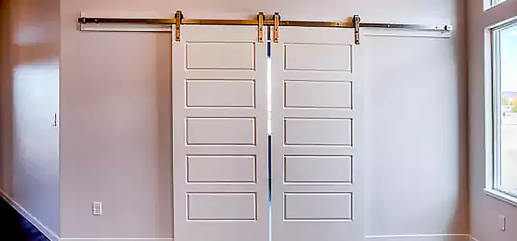 Glass Barn Door with Installation Hardware Kit Marshfield