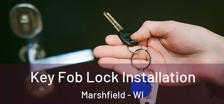  Key Fob Lock Installation Marshfield - WI