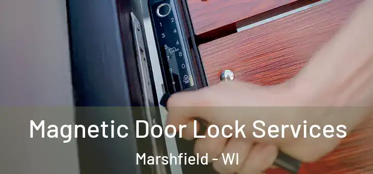  Magnetic Door Lock Services Marshfield - WI