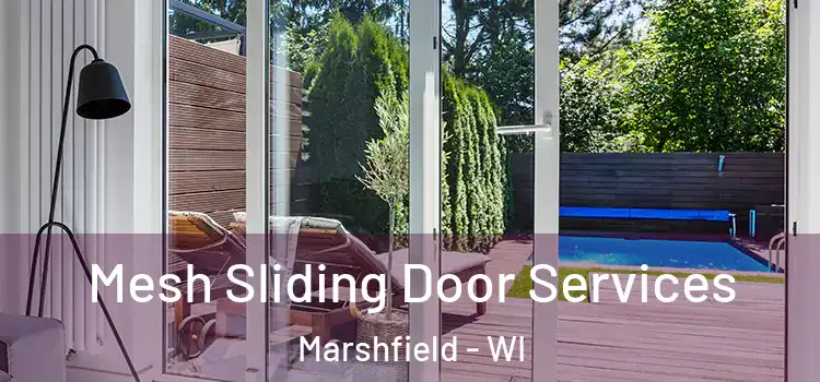  Mesh Sliding Door Services Marshfield - WI