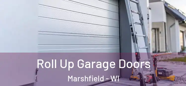 Roll Up Garage Doors Marshfield - WI