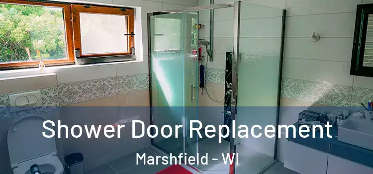  Shower Door Replacement Marshfield - WI
