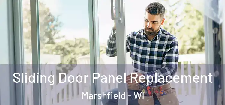  Sliding Door Panel Replacement Marshfield - WI