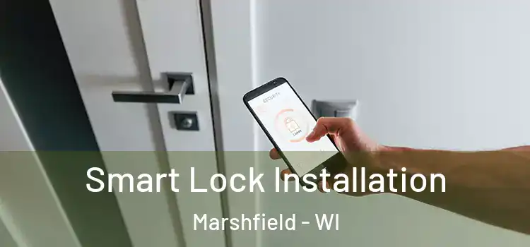  Smart Lock Installation Marshfield - WI