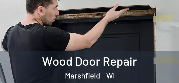  Wood Door Repair Marshfield - WI