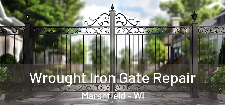  Wrought Iron Gate Repair Marshfield - WI